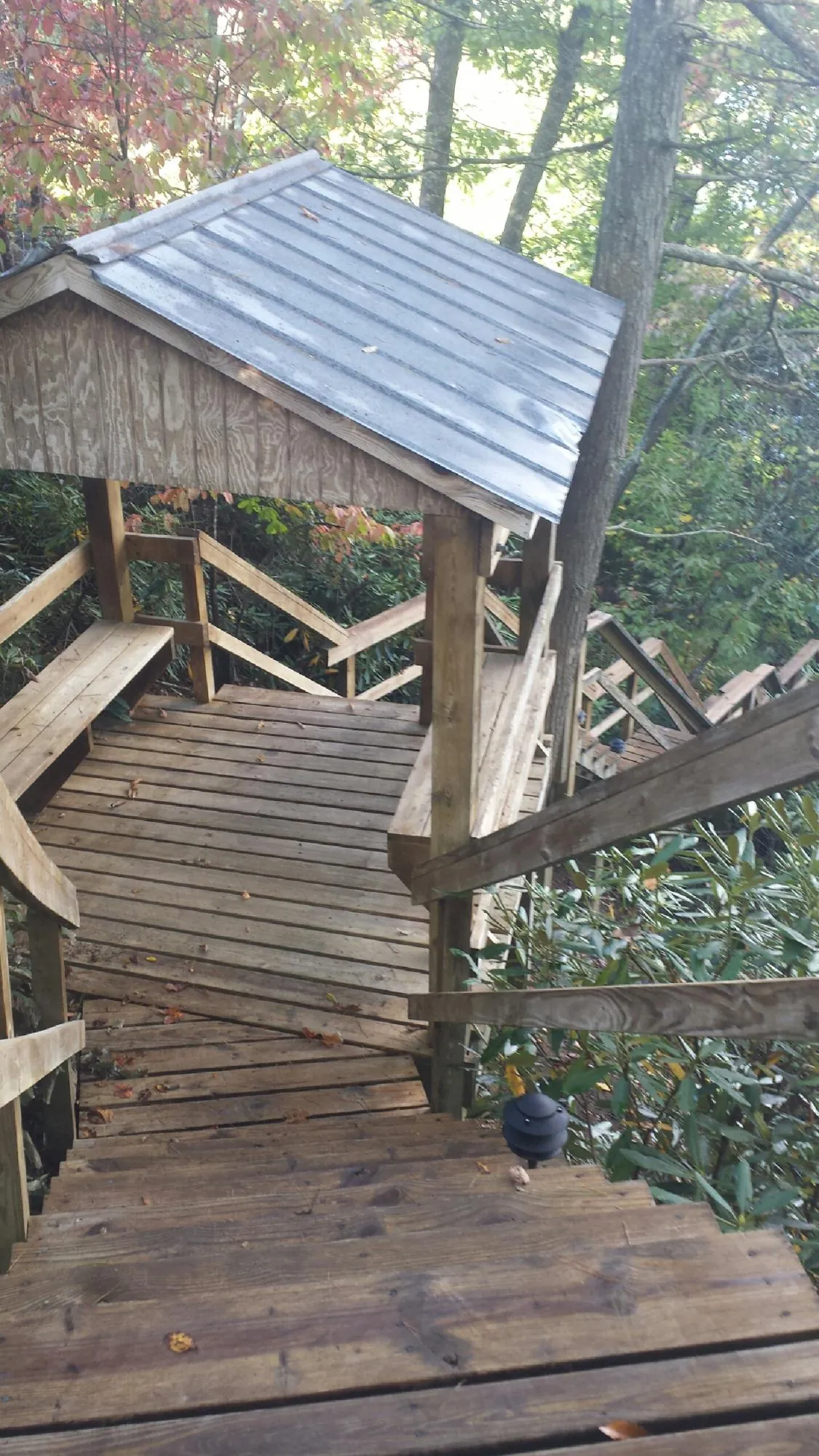 Metal roofed shelter over wooden steps on a wooded walkway — Skylight Repair & Installation work by our crew in Rhodesdale
