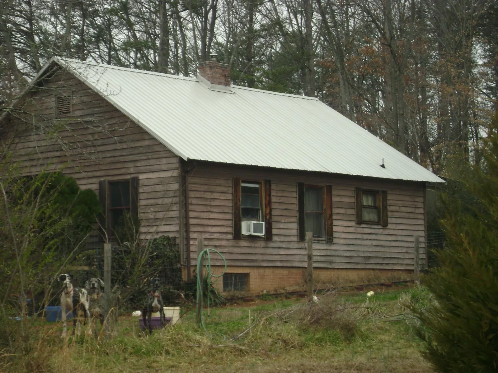 White metal roof on an old wood sided farmhouse, from a Asphalt Shingle Roof Repair job in Rhodesdale